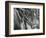 Sand and Water, c. 1965-Brett Weston-Framed Photographic Print