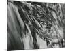 Sand and Water, c. 1965-Brett Weston-Mounted Premium Photographic Print