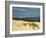 Sand Banks, Motor and Sailing Boats, Bay of Arcachon, Cote D'Argent, Gironde, Aquitaine, France-Groenendijk Peter-Framed Photographic Print