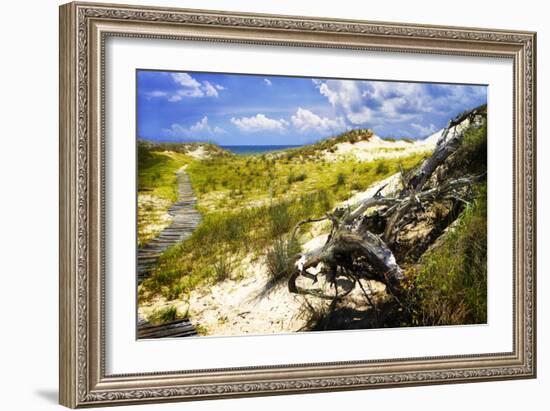 Sand Bay Beach I-Alan Hausenflock-Framed Photographic Print