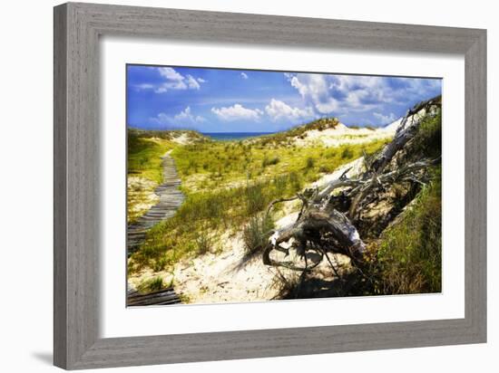 Sand Bay Beach I-Alan Hausenflock-Framed Photographic Print