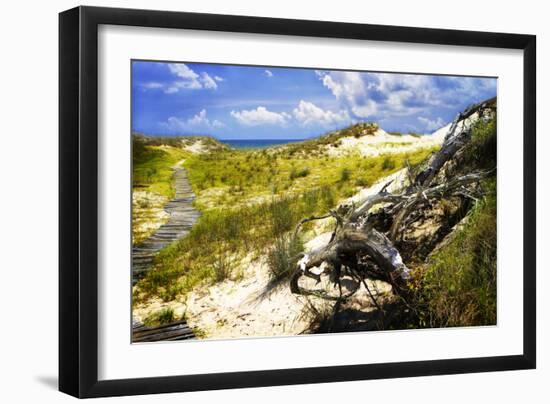 Sand Bay Beach I-Alan Hausenflock-Framed Photographic Print
