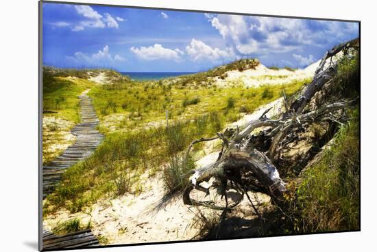 Sand Bay Beach I-Alan Hausenflock-Mounted Photographic Print