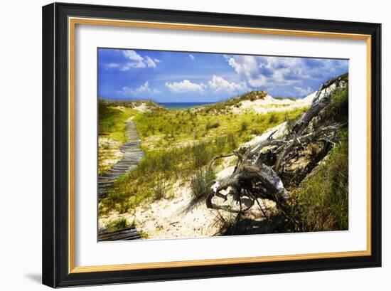 Sand Bay Beach I-Alan Hausenflock-Framed Photographic Print