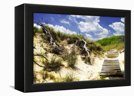 Sand Bay Beach II-Alan Hausenflock-Framed Premier Image Canvas