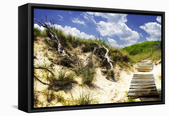 Sand Bay Beach II-Alan Hausenflock-Framed Premier Image Canvas