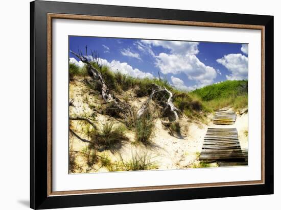 Sand Bay Beach II-Alan Hausenflock-Framed Photographic Print