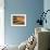 Sand Blowing on Crest of Dune in Erg Chebbi, Sahara Desert, Near Merzouga, Morocco-Lee Frost-Framed Photographic Print displayed on a wall