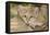 Sand Cat-null-Framed Premier Image Canvas