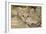 Sand Cat-null-Framed Photographic Print