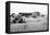 Sand covered farm at Mills, New Mexico, 1935-Dorothea Lange-Framed Premier Image Canvas