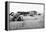 Sand covered farm at Mills, New Mexico, 1935-Dorothea Lange-Framed Premier Image Canvas