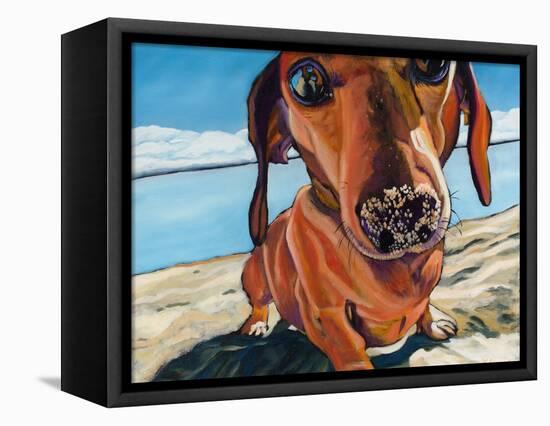 Sand Dog-Kathryn Wronski-Framed Stretched Canvas