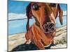 Sand Dog-Kathryn Wronski-Mounted Art Print