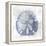 Sand Dollar 1 v2-Denise Brown-Framed Stretched Canvas