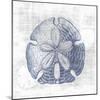 Sand Dollar 1 v2-Denise Brown-Mounted Art Print