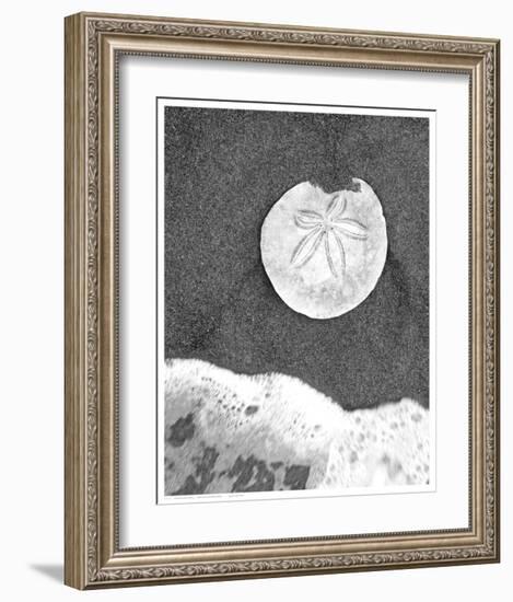 Sand Dollar and Surf-null-Framed Art Print