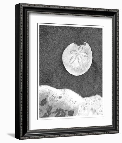 Sand Dollar and Surf-null-Framed Art Print