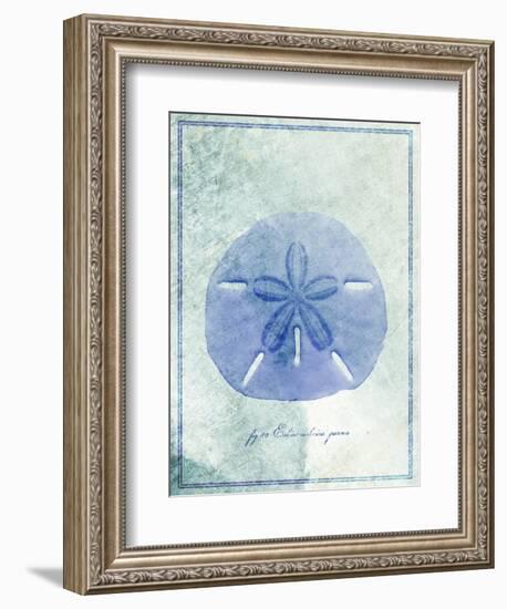 Sand Dollar B-GI ArtLab-Framed Giclee Print