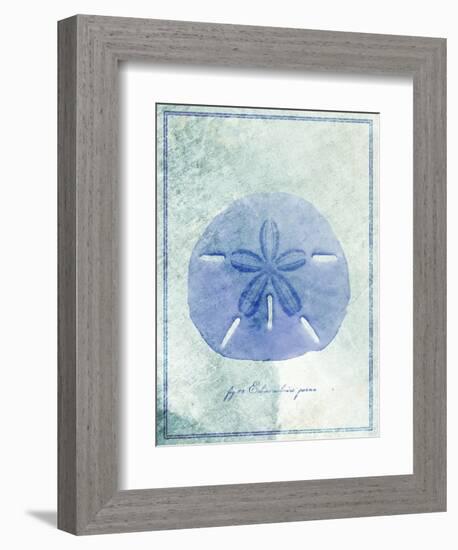 Sand Dollar B-GI ArtLab-Framed Giclee Print