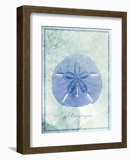 Sand Dollar B-GI ArtLab-Framed Giclee Print