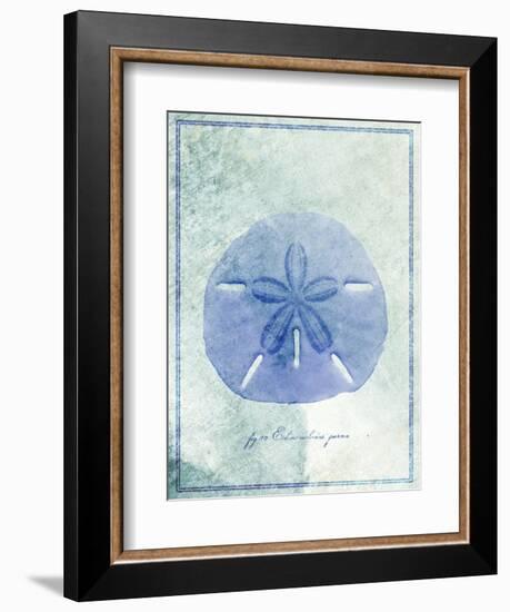 Sand Dollar B-GI ArtLab-Framed Giclee Print