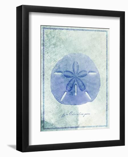 Sand Dollar B-GI ArtLab-Framed Giclee Print