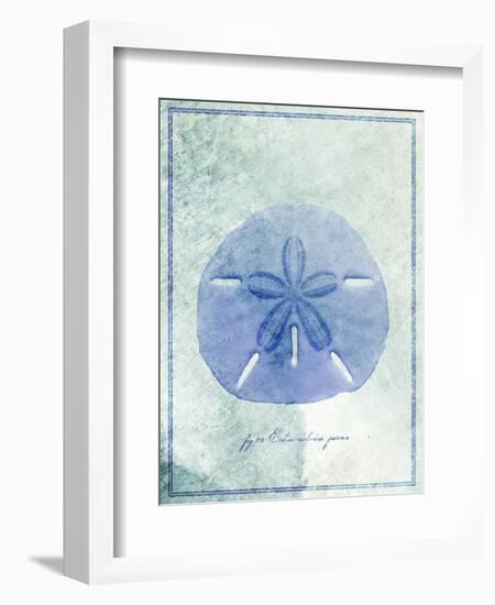 Sand Dollar B-GI ArtLab-Framed Giclee Print