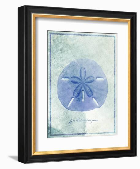Sand Dollar B-GI ArtLab-Framed Giclee Print