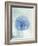 Sand Dollar B-GI ArtLab-Framed Giclee Print