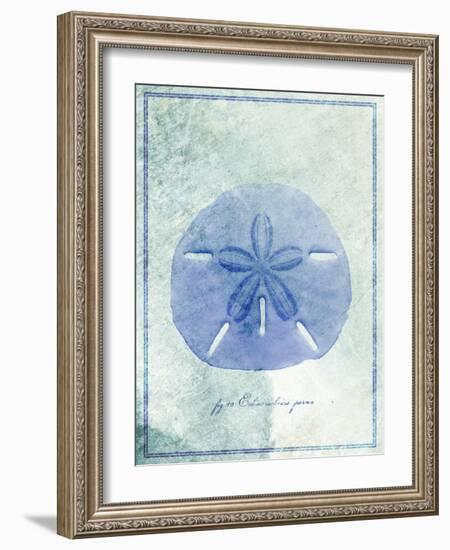 Sand Dollar B-GI ArtLab-Framed Giclee Print