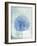 Sand Dollar B-GI ArtLab-Framed Giclee Print