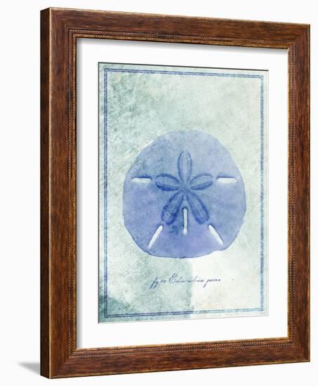 Sand Dollar B-GI ArtLab-Framed Giclee Print