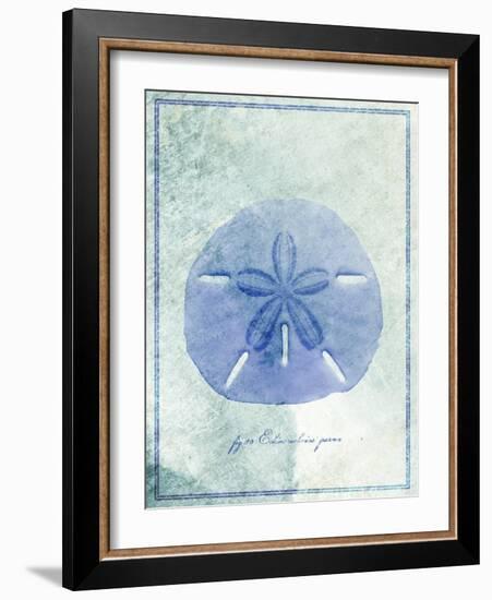 Sand Dollar B-GI ArtLab-Framed Giclee Print