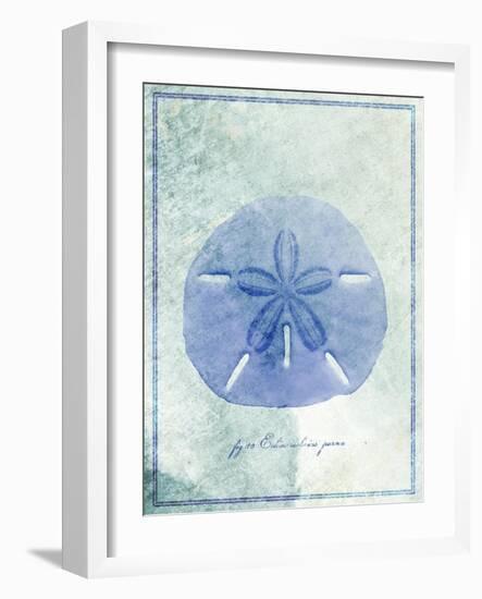 Sand Dollar B-GI ArtLab-Framed Giclee Print