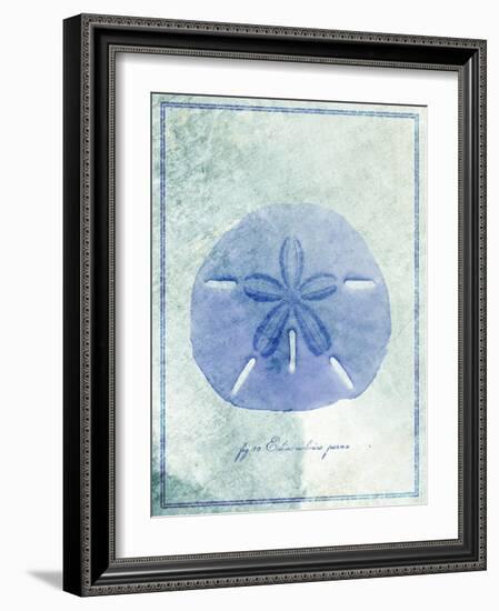 Sand Dollar B-GI ArtLab-Framed Giclee Print