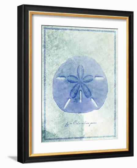 Sand Dollar B-GI ArtLab-Framed Giclee Print