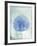 Sand Dollar B-GI ArtLab-Framed Premium Giclee Print