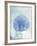 Sand Dollar B-GI ArtLab-Framed Premium Giclee Print