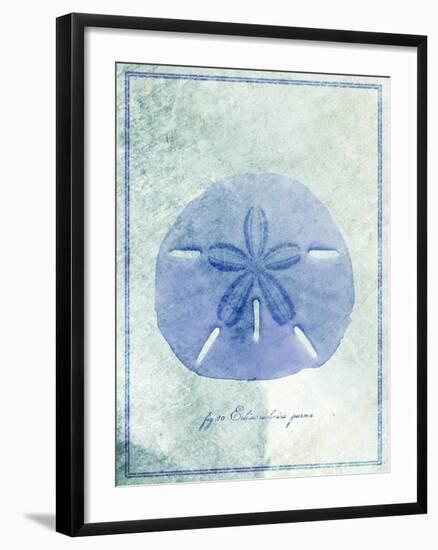 Sand Dollar B-GI ArtLab-Framed Premium Giclee Print