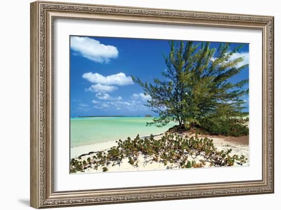 Sand Dollar Beach-Larry Malvin-Framed Photographic Print
