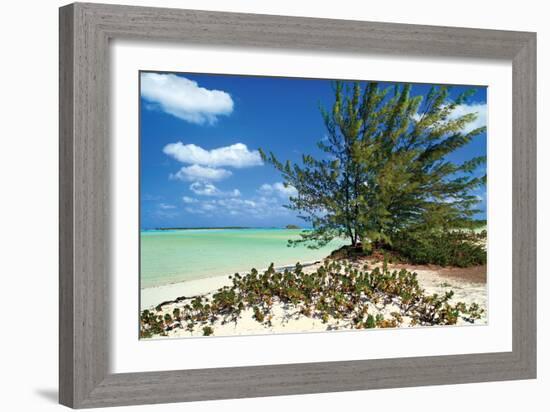 Sand Dollar Beach-Larry Malvin-Framed Photographic Print