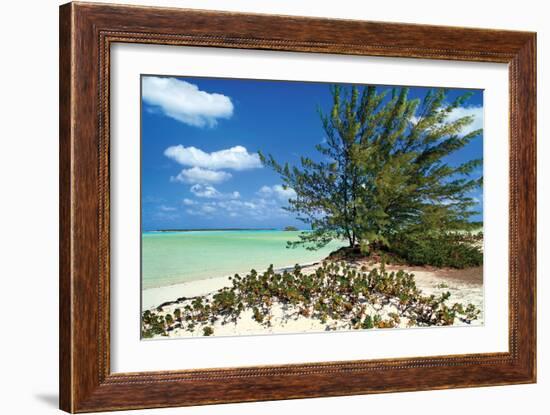 Sand Dollar Beach-Larry Malvin-Framed Photographic Print