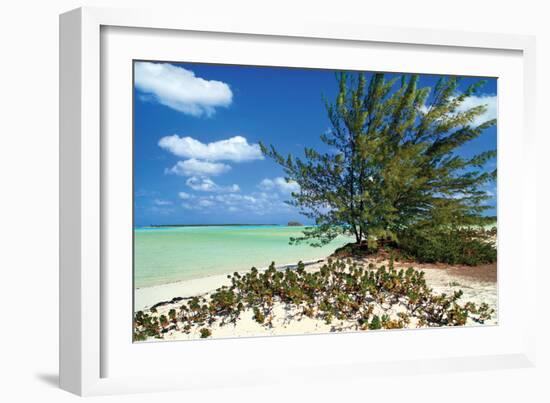 Sand Dollar Beach-Larry Malvin-Framed Photographic Print