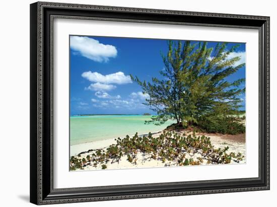 Sand Dollar Beach-Larry Malvin-Framed Photographic Print