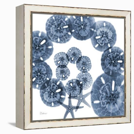 Sand Dollar Blues-Albert Koetsier-Framed Stretched Canvas