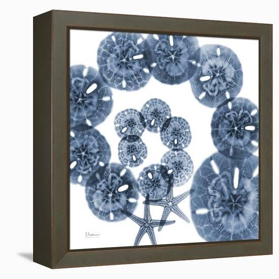 Sand Dollar Blues-Albert Koetsier-Framed Stretched Canvas