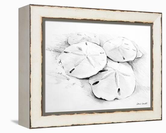 Sand Dollar I-Lanie Loreth-Framed Stretched Canvas