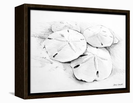 Sand Dollar I-Lanie Loreth-Framed Stretched Canvas