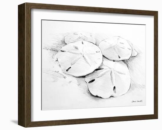 Sand Dollar I-Lanie Loreth-Framed Art Print